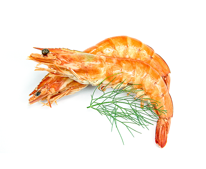 crevettes roses