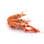 langoustine