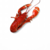 homard-cuit-court-bouillon-small