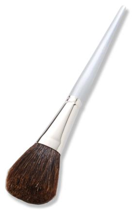 Blush Makeup Brush