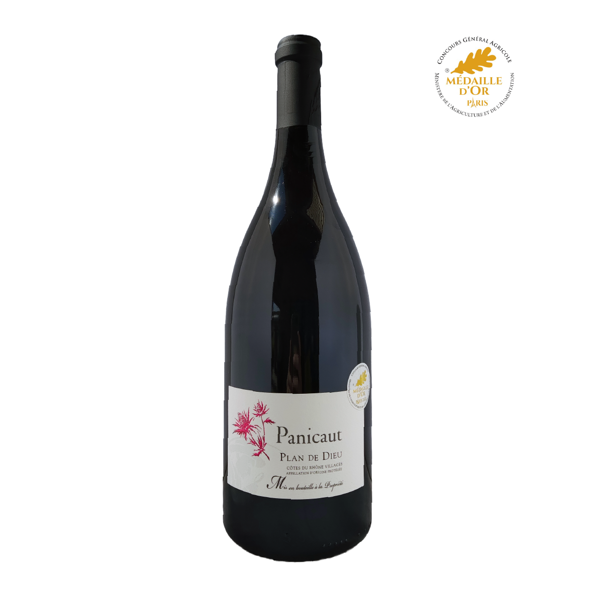 Panicaut Magnum 2022 medaille Or CGA 2023