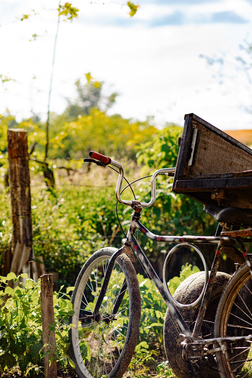 RANDO VELO ELECTRIQUE DANS LES VIGNES 2 mai 2026