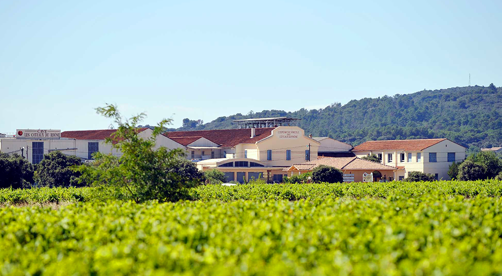 lien vers l'équipe de la cave coopérative