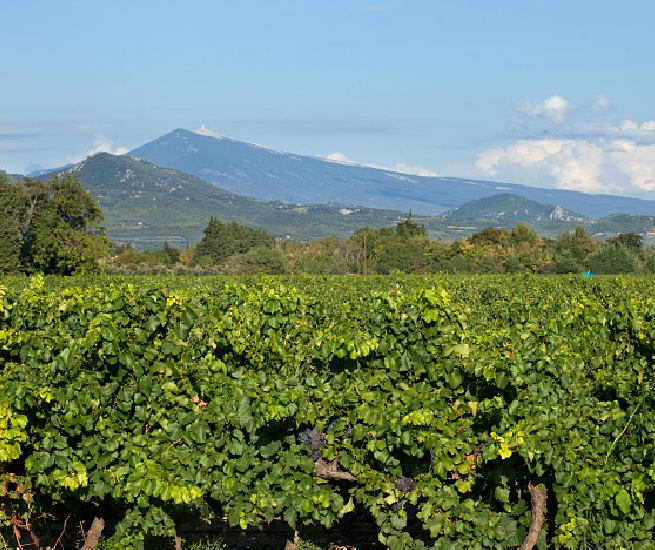 paysage plan de dieu