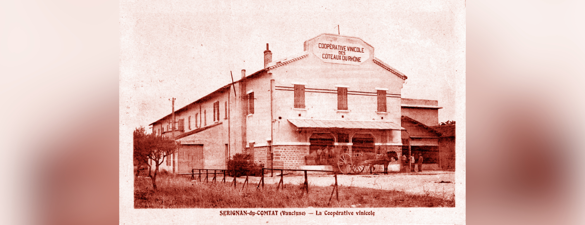 Photo de la cave coopérative en 1926