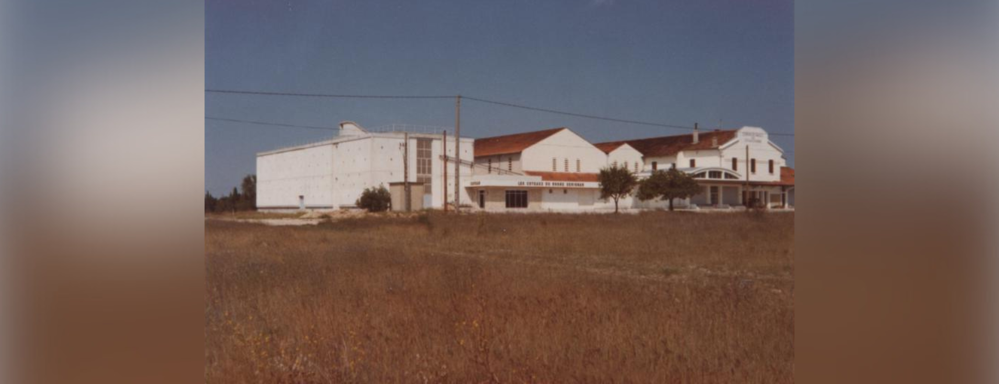 Photo de la cave coopérative dans le passé