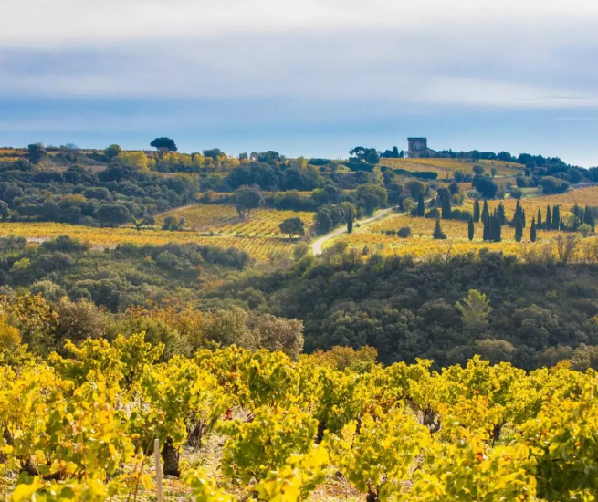 paysage chateauneuf