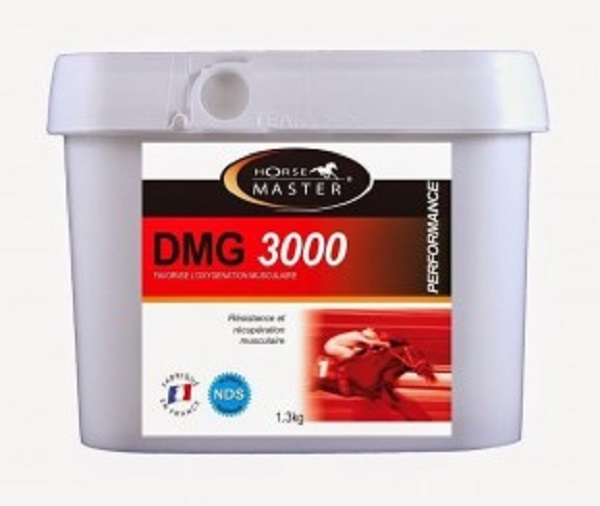 DMG 3000 Horse Master 1,3kg