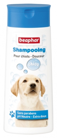Shampooing Bulles - Chiot