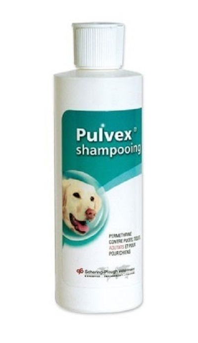 MSD - Pulvex - Shampooing Antiparasitaire