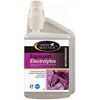 Horsemaster - Equisport Electrolyte 1L
