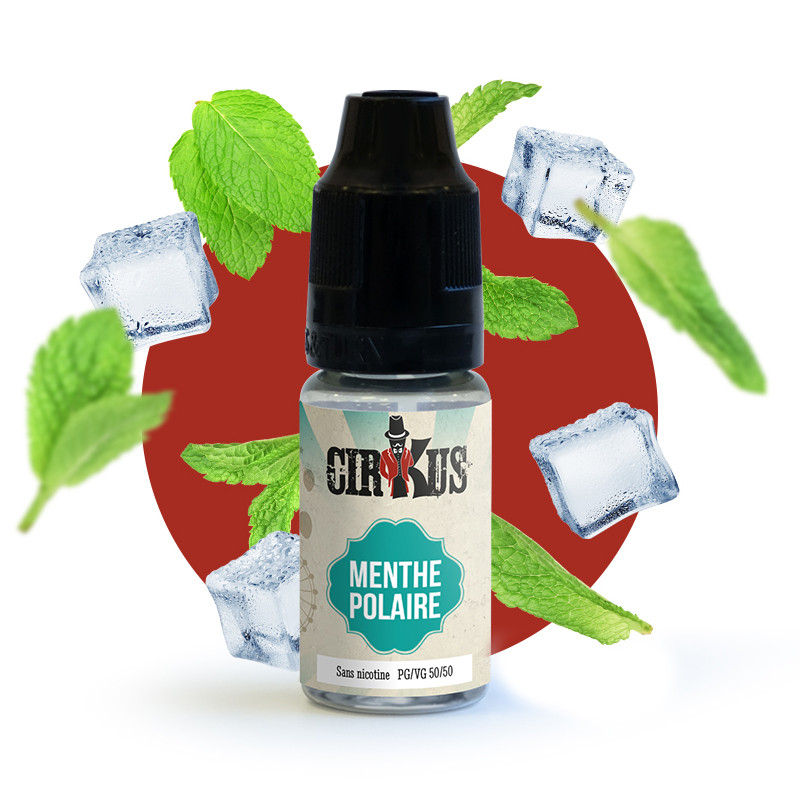 elfbar nachfüll pod läuft aus Roykin MENTHE POLAIRE I Eliquide ROYKIN 3.50€ I Meilleur Prix du web I main image 1