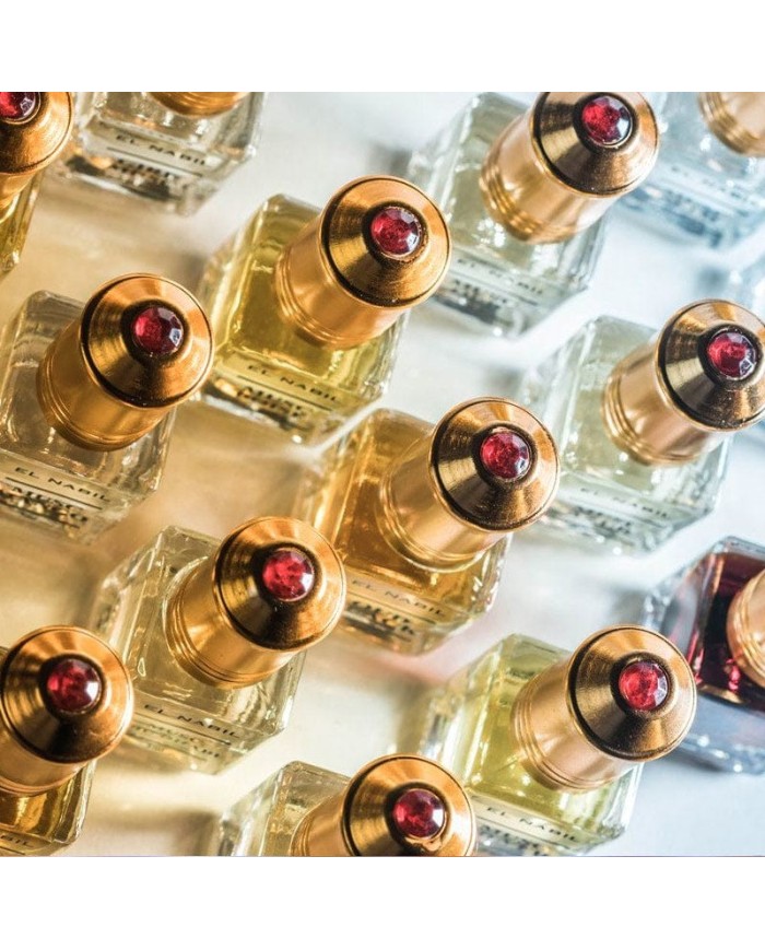musc-bella-x12-perfume-e