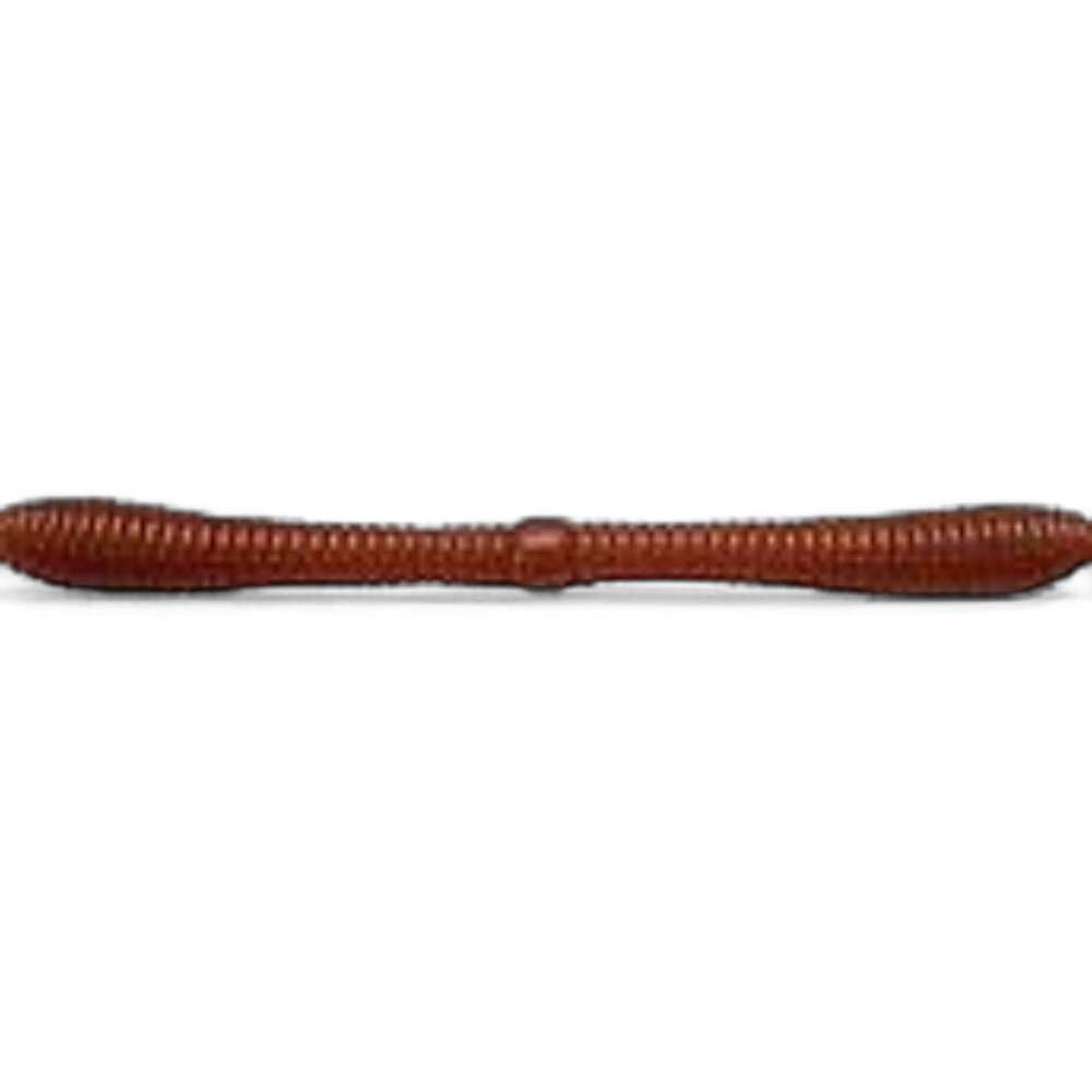 spanky worm lunker city