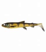 whitefish.1