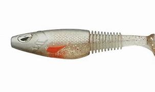 sickswimsilroach