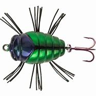 notobugvert