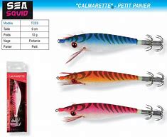 calamarette