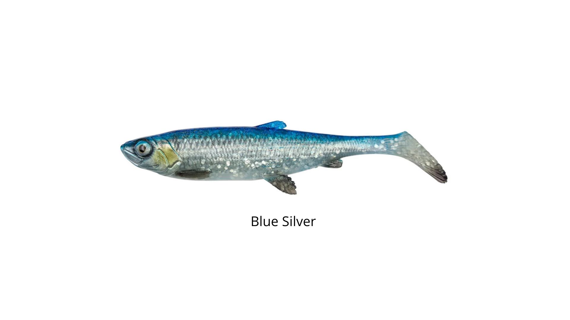 blsi