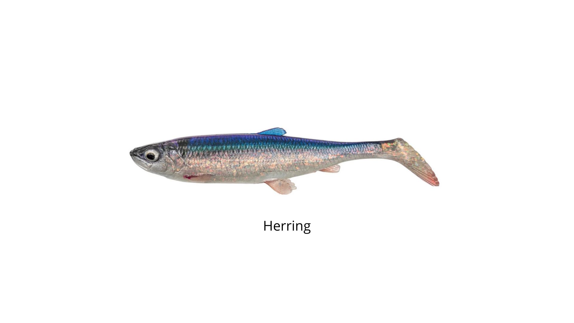 he