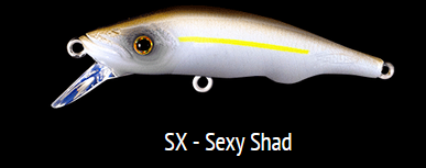 ESP JK SX