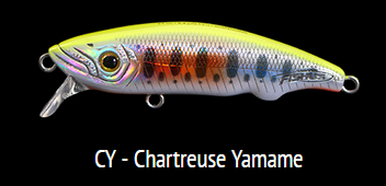 CY