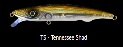 TS