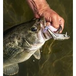 wake prop1