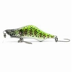 firstshinytrout