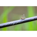 nym345delacoste