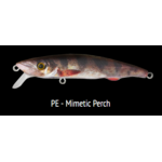 PE