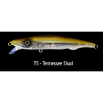 TS