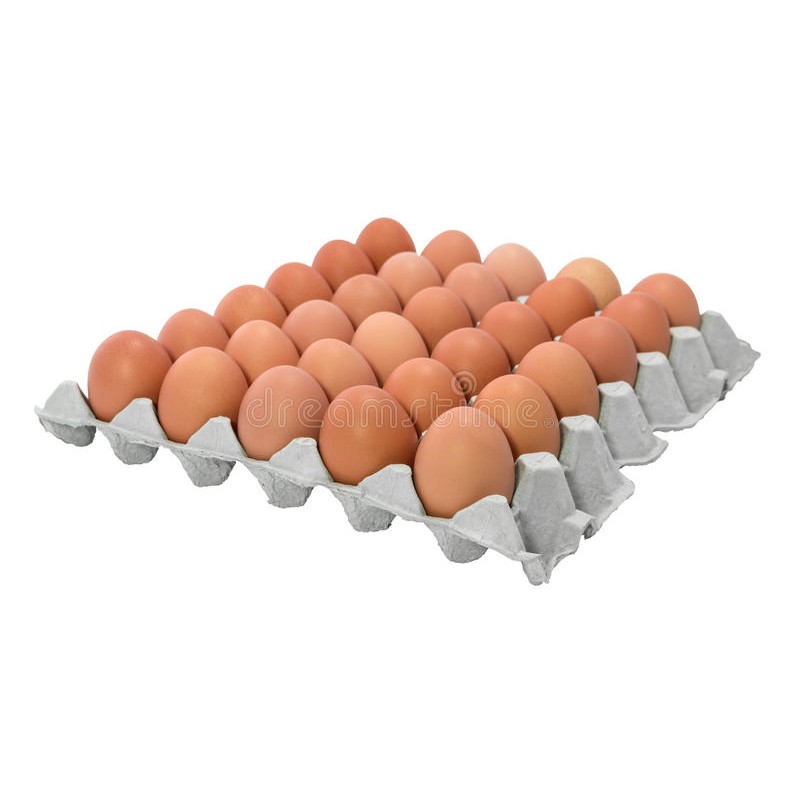 OEUF