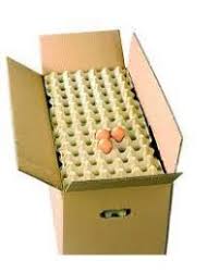 OEUFS CARTON