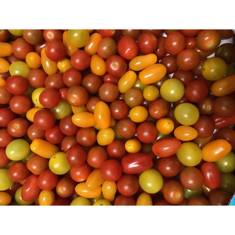 tomate cerise