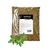 THYM FEUILLES 500 GR