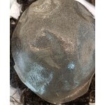 IMG_20241002_115116