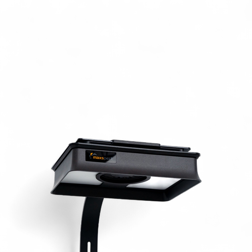 2252-dsc07782