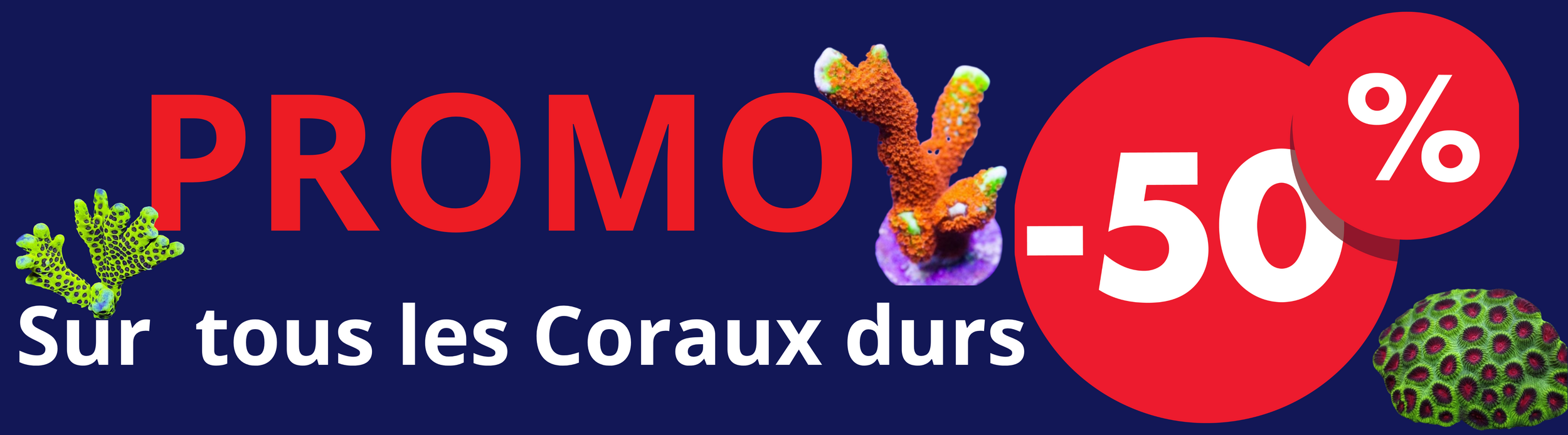 votre texte de saint pierreparagraphe 1800 x 500 px 1