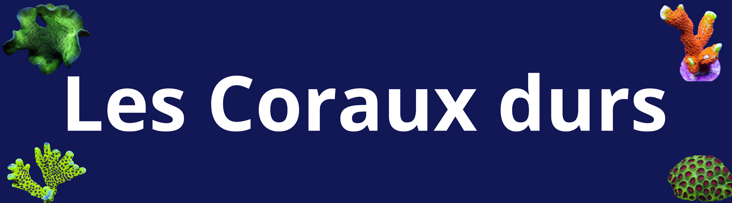votre texte de saint pierreparagraphe 1800 x 500 px 2