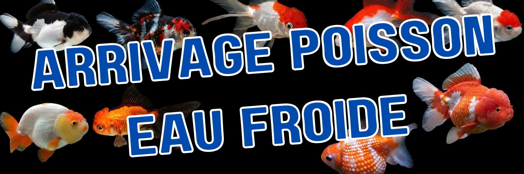 ouverte 900 x 300 px