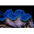 27 oct. 2025, 18_22_58