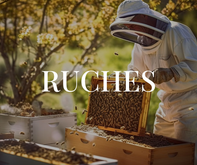 Ruches