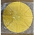 CHASSE ABEILLES ROND 1