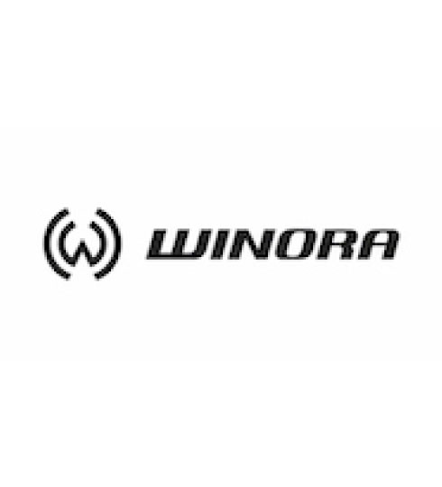 velectric winora