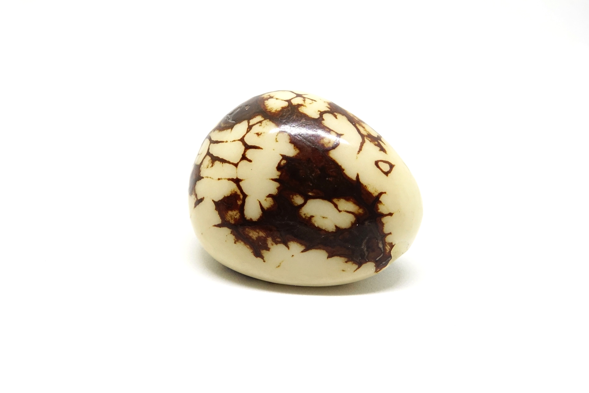 Tagua marbre blanc