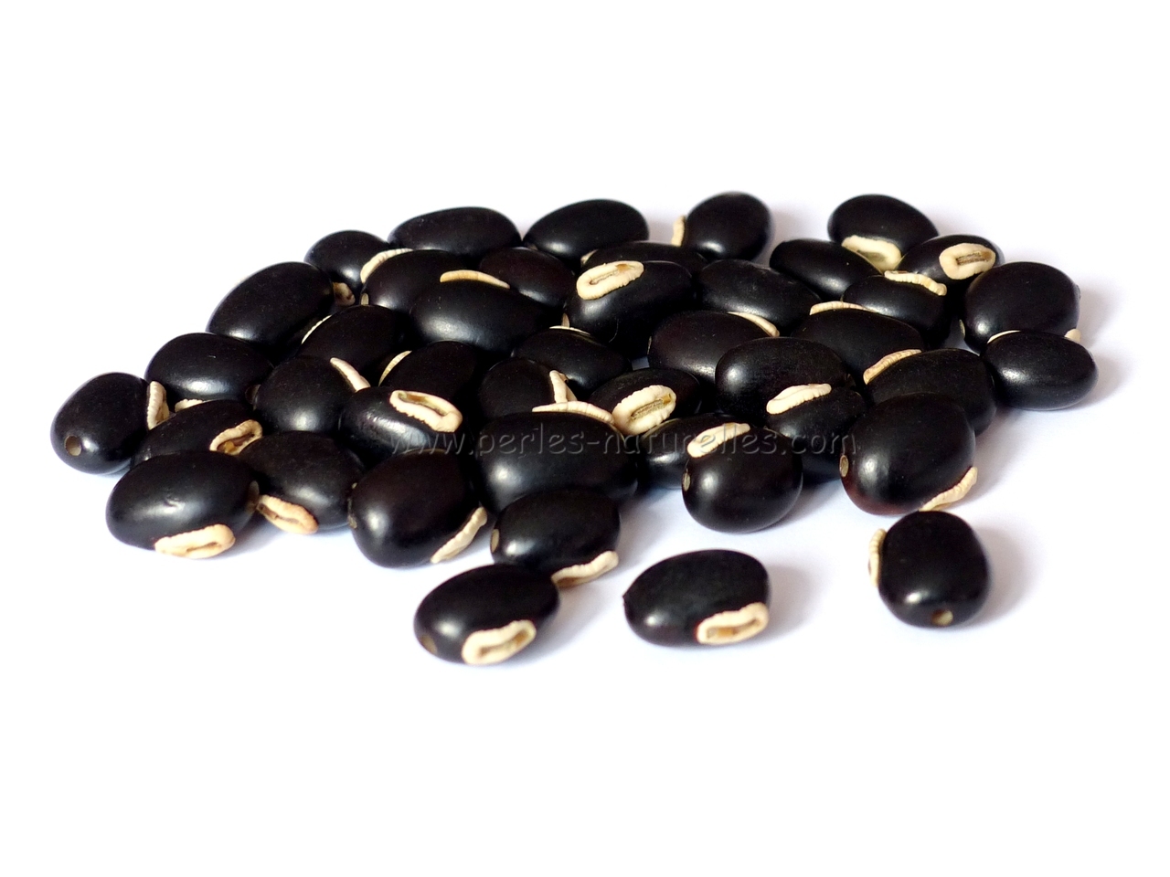Perles graines orque