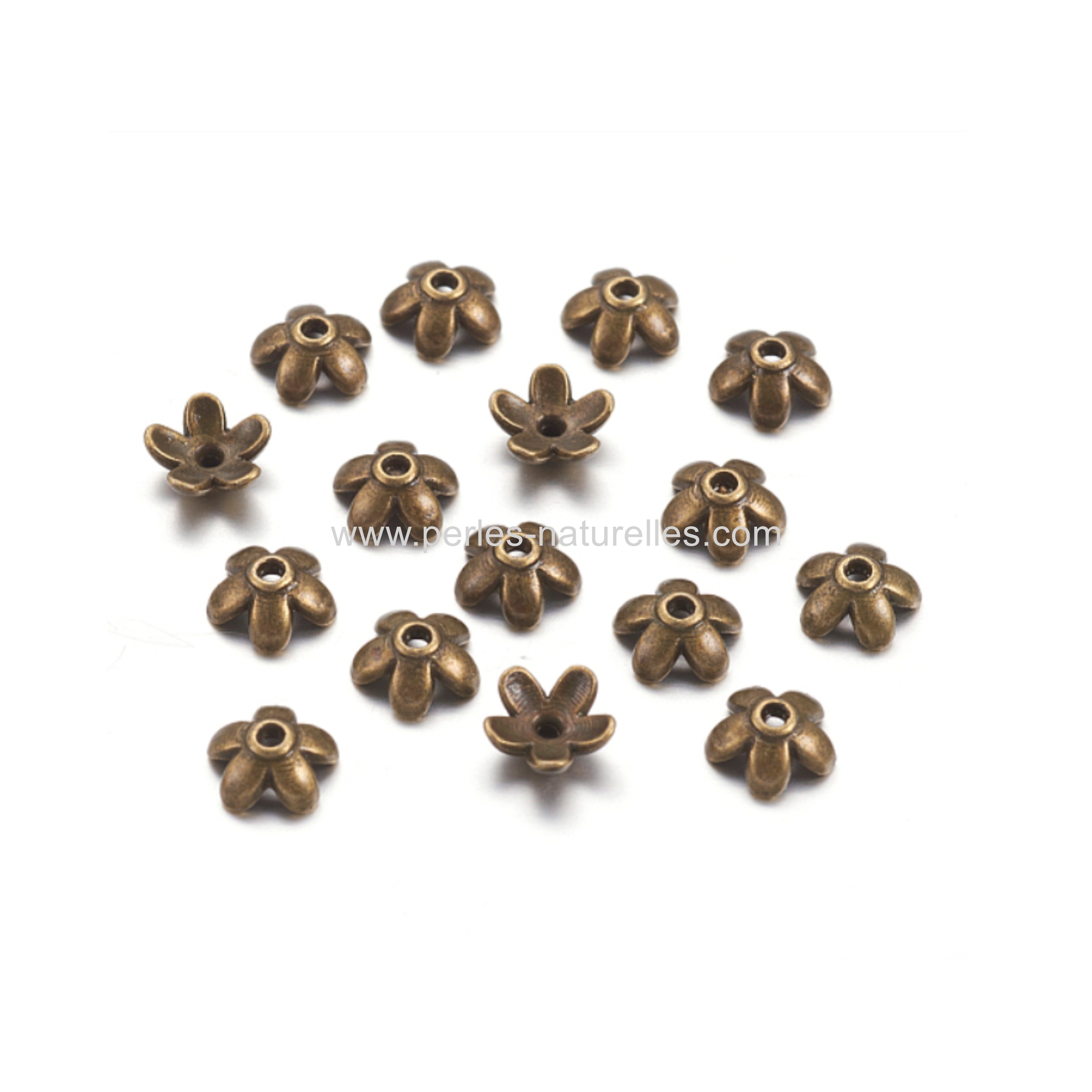 Coupelles bronze