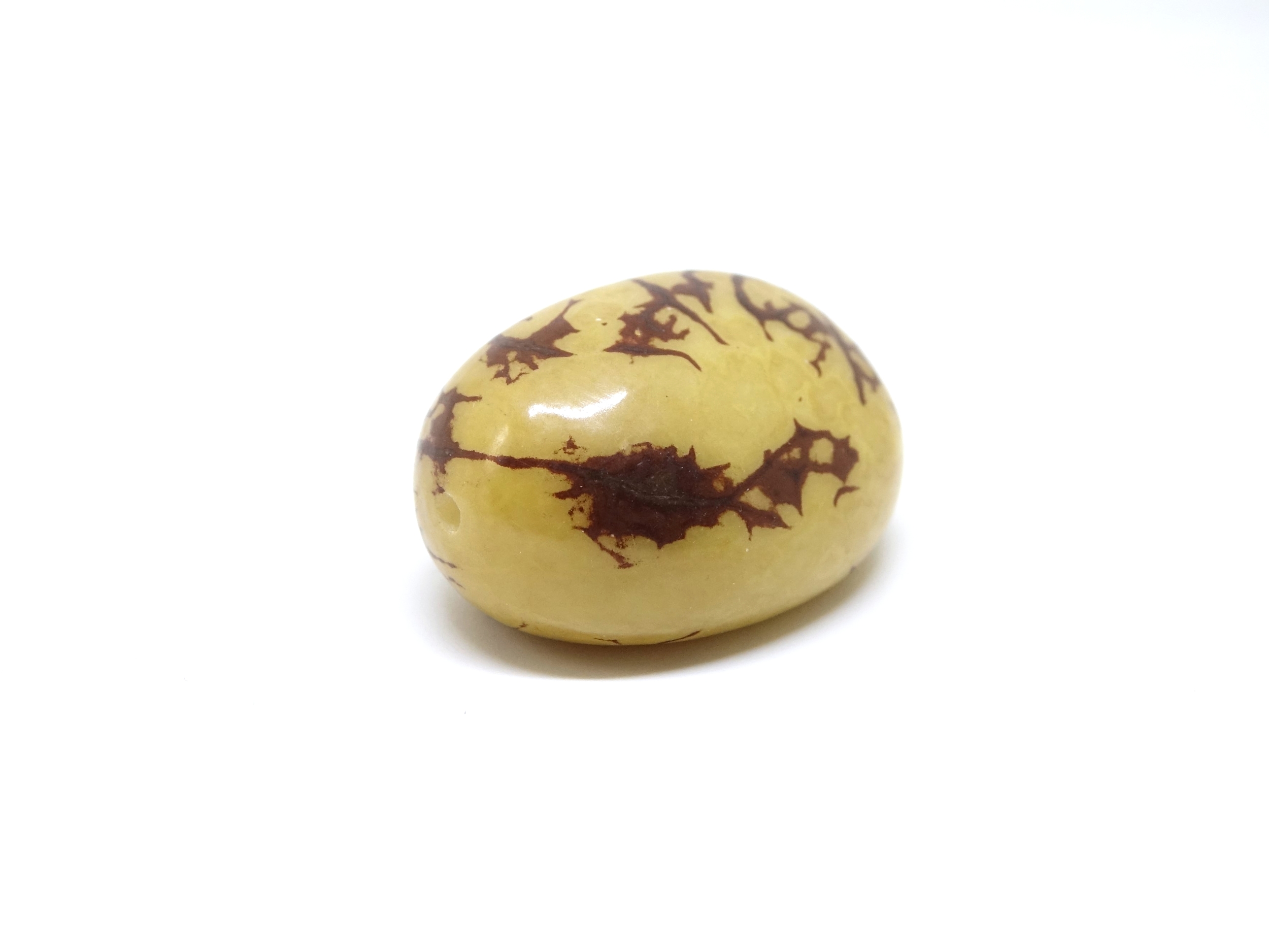 Tagua marbre jaune