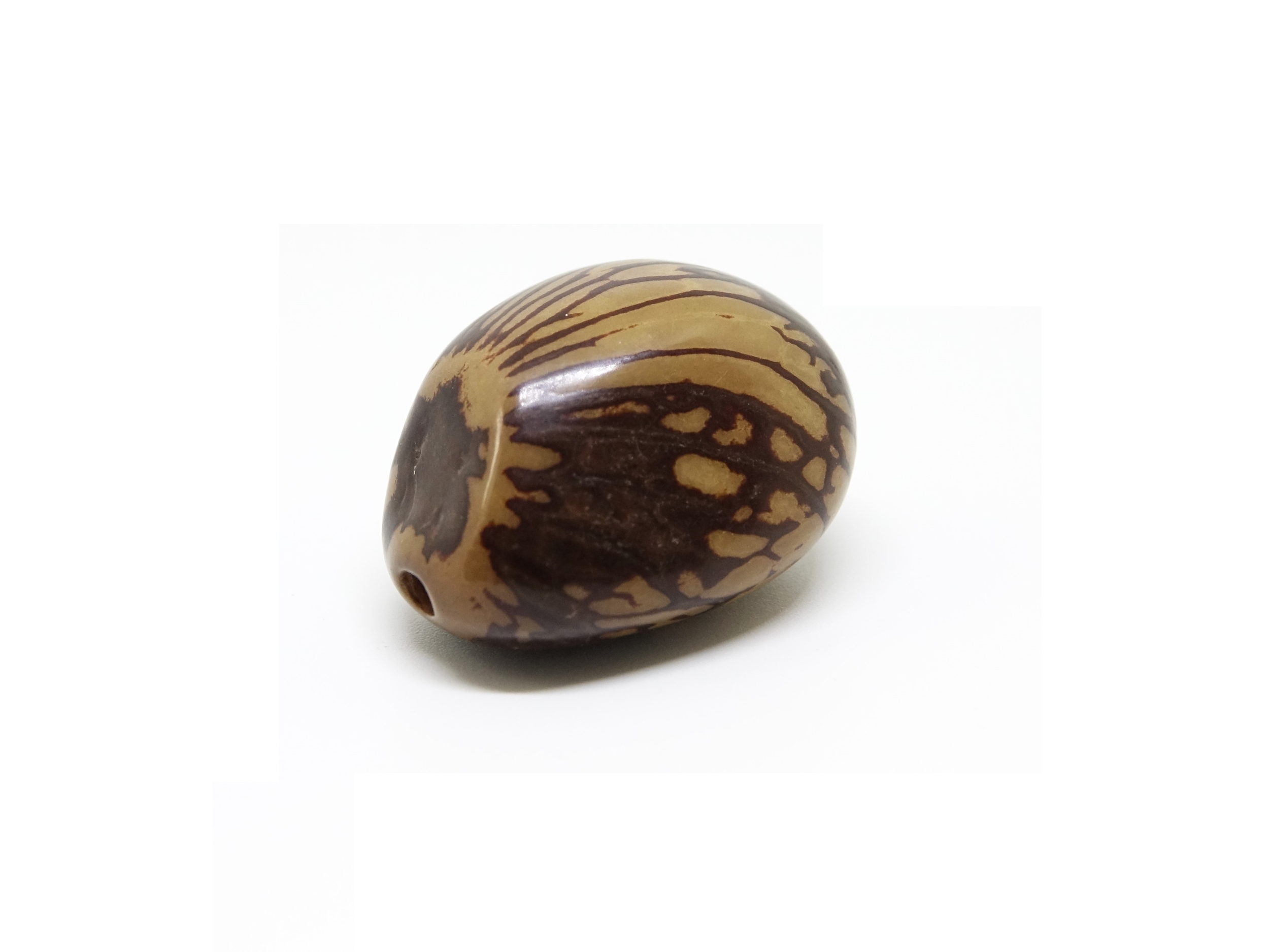 Tagua marbre marron